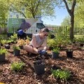 NGED employee planting sensory garden