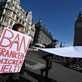 Protestor and petition with Big Ben in the background