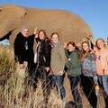 Conservation Volunteers with an Elephant They Helped to Survive