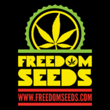 Freedom Seeds