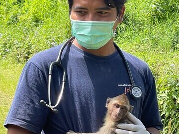 Jakarta Animal Aid Network vet and macaque