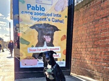 Pablo with one of his billboards