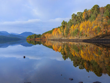 Glen Affric copyright Grant Willoughby