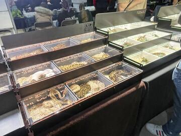 Snakes for sale at UK reptile market