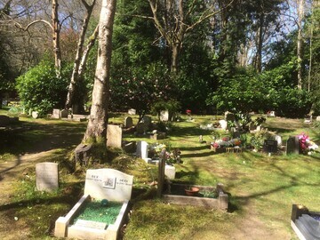 Pet Cemetery Formal Pet Burial Area