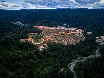 Aerial photograph by Nanany Suajana showing area of rainforest in Batang Toru already cleared for the dam development