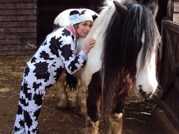 Fiona Oakes in her cow suit