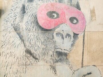 ‘Gorilla in a Pink Mask’, c. 2001, 150cm x 80cm, aerosol on concrete