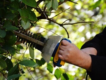 Person using a hedge trimmer