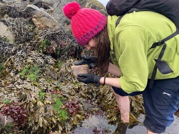 Steven Farquhar, from County Antrim – Finalist of the NBN Award for Marine Wildlife Recording 2024