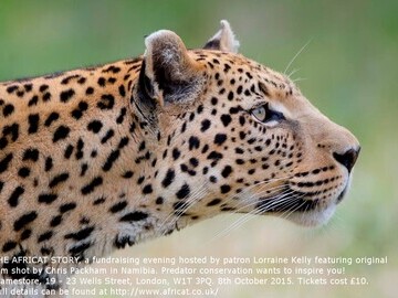 Photo of a leopard