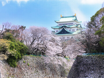 Aichi_Nagoya_Nagoya castle@AdobeStock_63772492