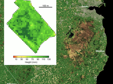 The new AI-based technology estimates grass height to within an accuracy of just 1.5cm, from satellites nearly 700km above the ground