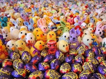 The chicks are sold for £2 each to raise funds for Francis House Children’s Hospice