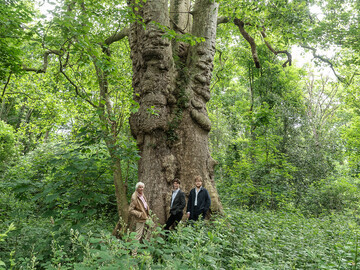 Photograph of Barney the London Plane by Clive Barda