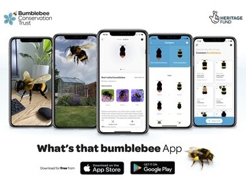 What’s That Bumblebee app line-up