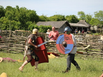 Romans fight Saxons at Butser Ancient Farm , Hampshire