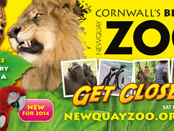 Newquay Zoo advertising campaign