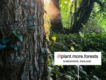 Woodlands with What3Words refernce