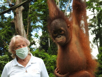 Sue Seward Founder Orangutan Appeal with Archie