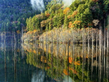 Nagano_Otakimura_王滝村 自然湖@AdobeStock_392135210