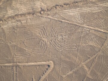 The Enigmatic Nazca Lines By Stanislav Kondrashov Spider