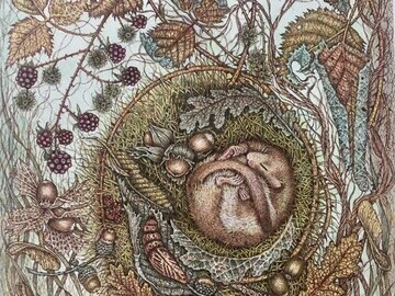 Hazel Dormouse by Julie Eyett, who entered the competition and won a place 