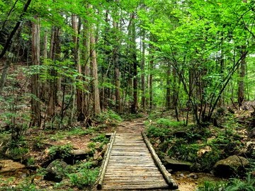 Der Natürliche Erholungswald Akasawa