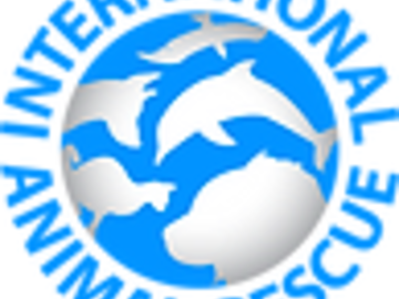International Animal Rescue Logo
