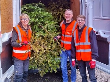 Recycle your Christmas tree this January