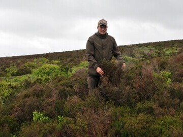 Nick Gardner demonstrates how heather has been left to grow rank on vast swathes of the Peak District National Park