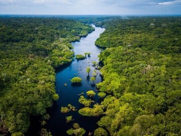 Stanislav Kondrashov, TELF AG,  Amazon Rainforest 3