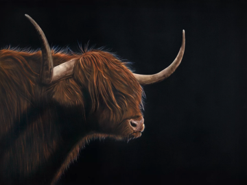 Lot 27 Moody Cow limited edition signed print donated by the artist, Gordon Corrins