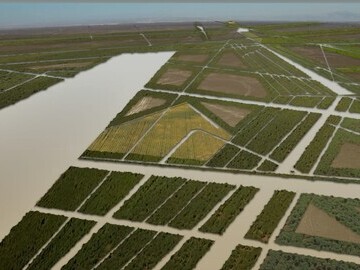 Irrigation Channel Lines