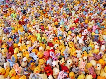 A selection of the 35,000 knitted chicks and bunnies sold to raise funds for Francis House