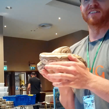 Animal seller at Ashford International Hotel reptile market