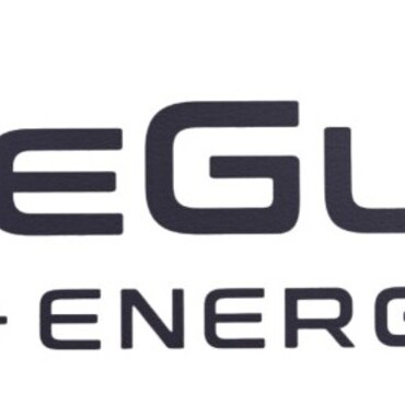 WiseGlow Platform: Logo
