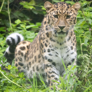 Lena image - Credit, Kira Butters