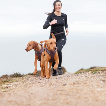 Running with dogs on the Isle of Wight
