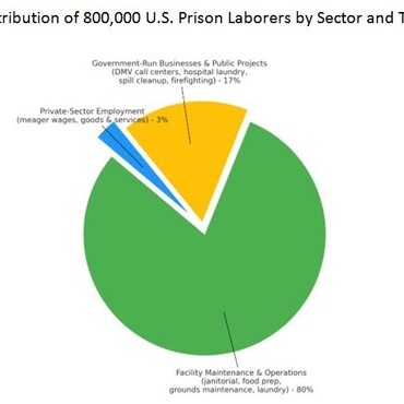 Distribution of U.S. prison laborers by section and task