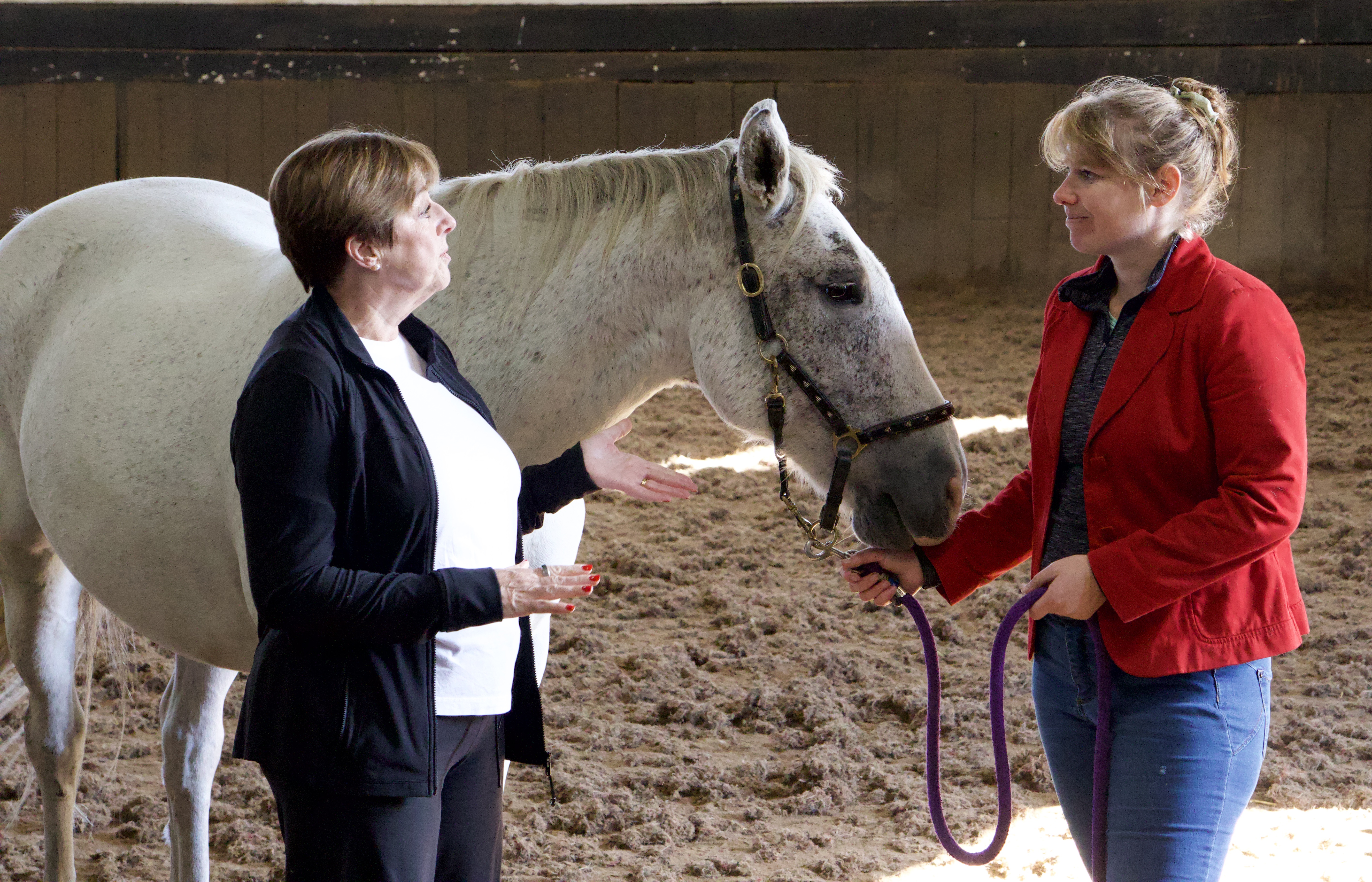 Corporate Training With Added Horse Power | Pressat