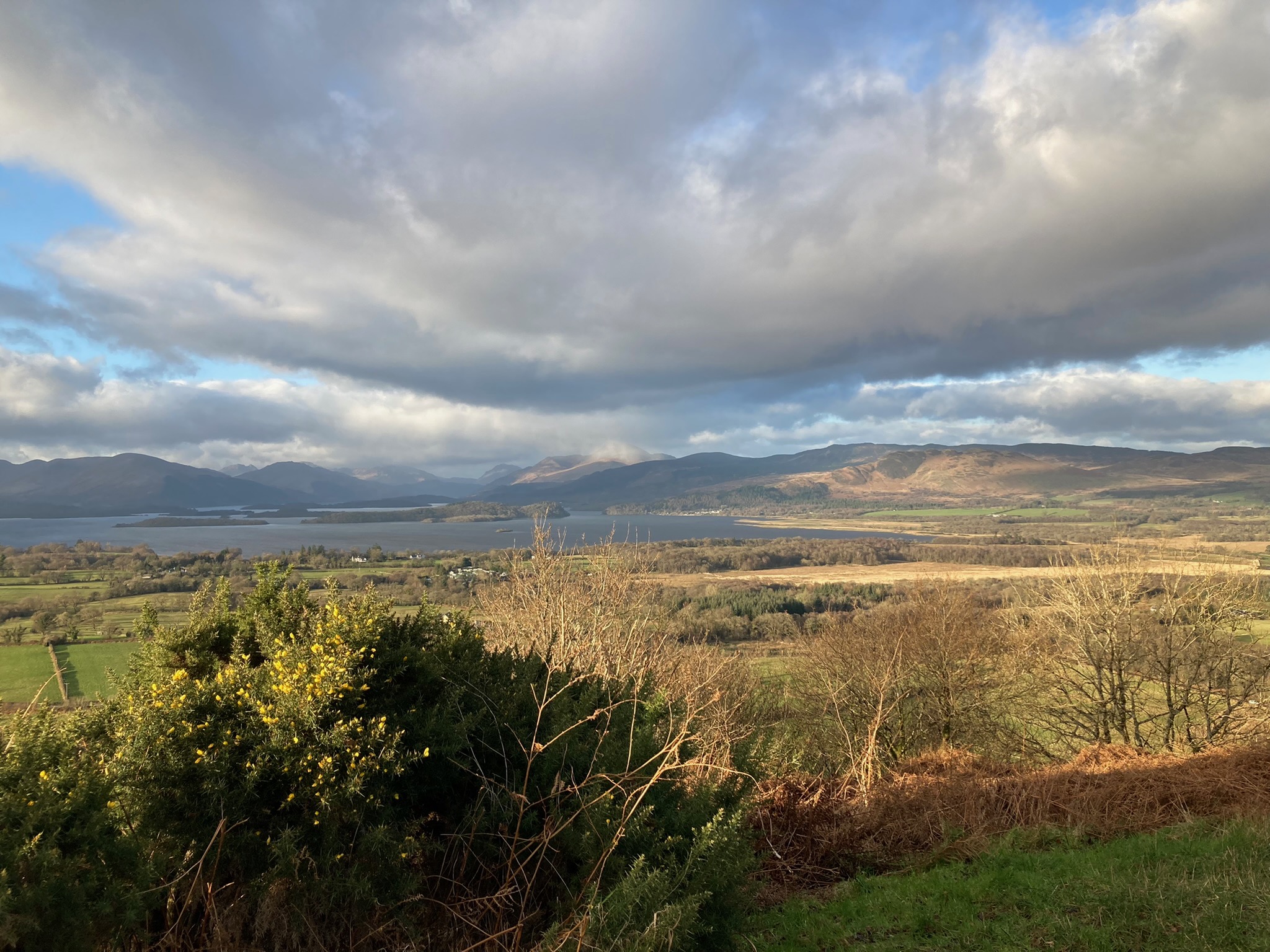 Friends of Loch Lomond & The Trossachs supports RSPB Planning ...